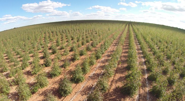 foto18agr-101-eucaba-b11